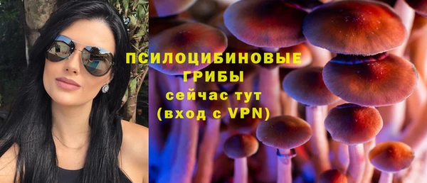 стаф Горно-Алтайск
